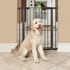 MidWest Steel Pet Gate, Graphite, 39-in