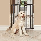 MidWest Steel Pet Gate, Graphite, 39-in
