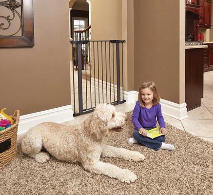 Show full view: MidWest Steel Pet Gate, Graphite, 39-in slide 4 of 9