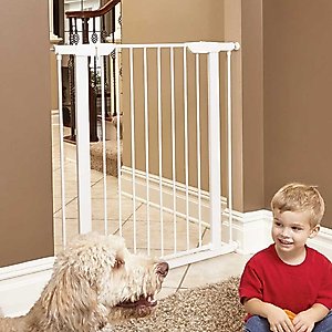 MidWest Steel Pet Gate, White, 39-in