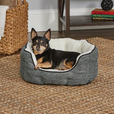 Show full view: MidWest Tulip Style Dog & Cat Bed, Evergreen, X-Small slide 2 of 4
