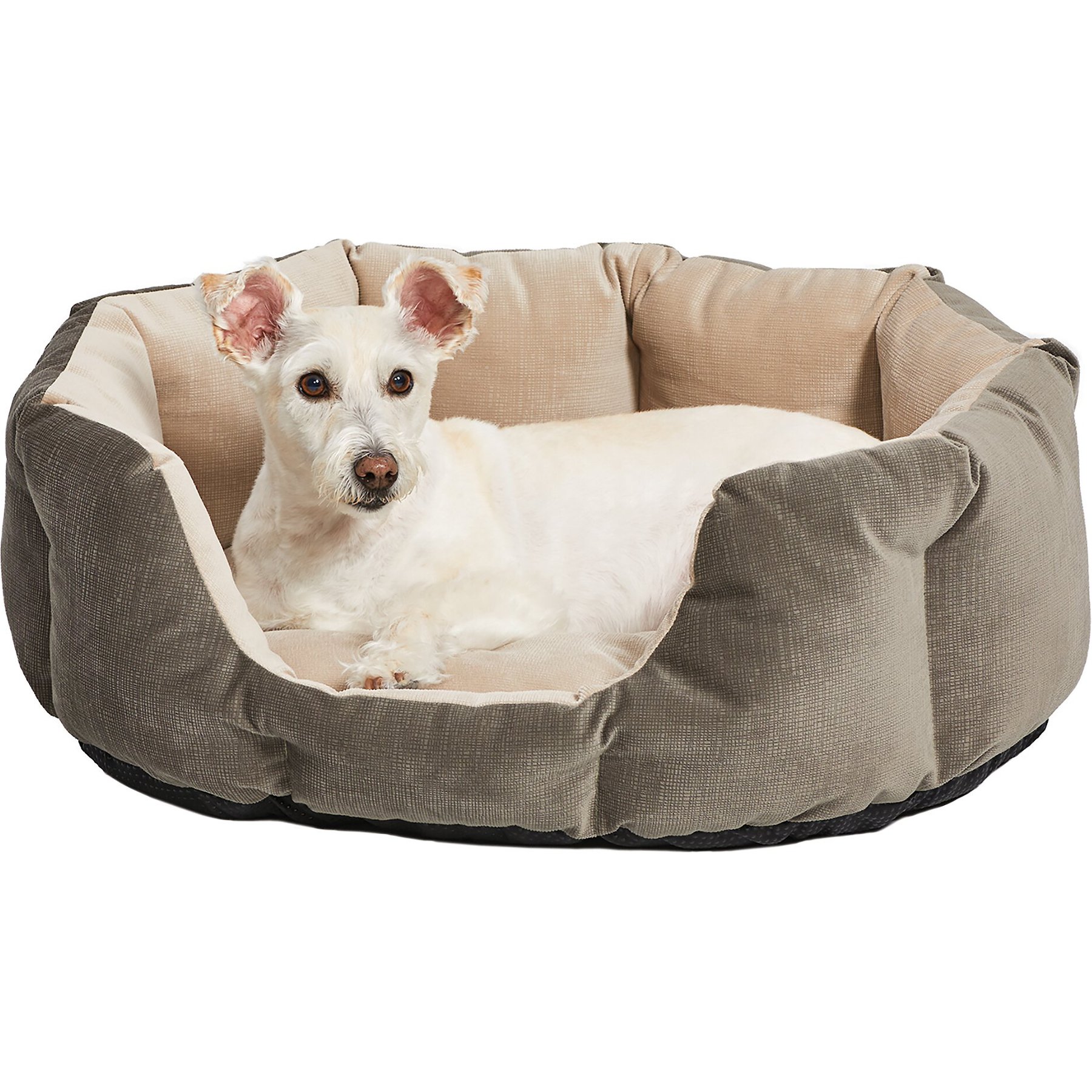 MidWest Tulip Style Dog & Cat Bed, Gray, Small