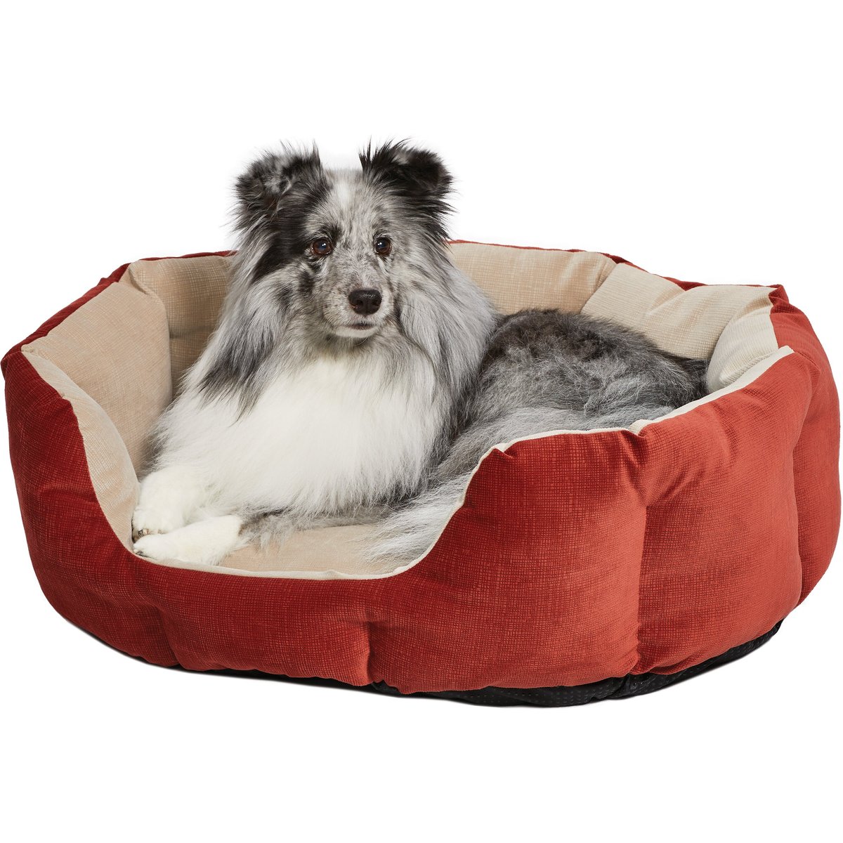 MidWest Tulip Style Dog & Cat Bed, Russet, Small