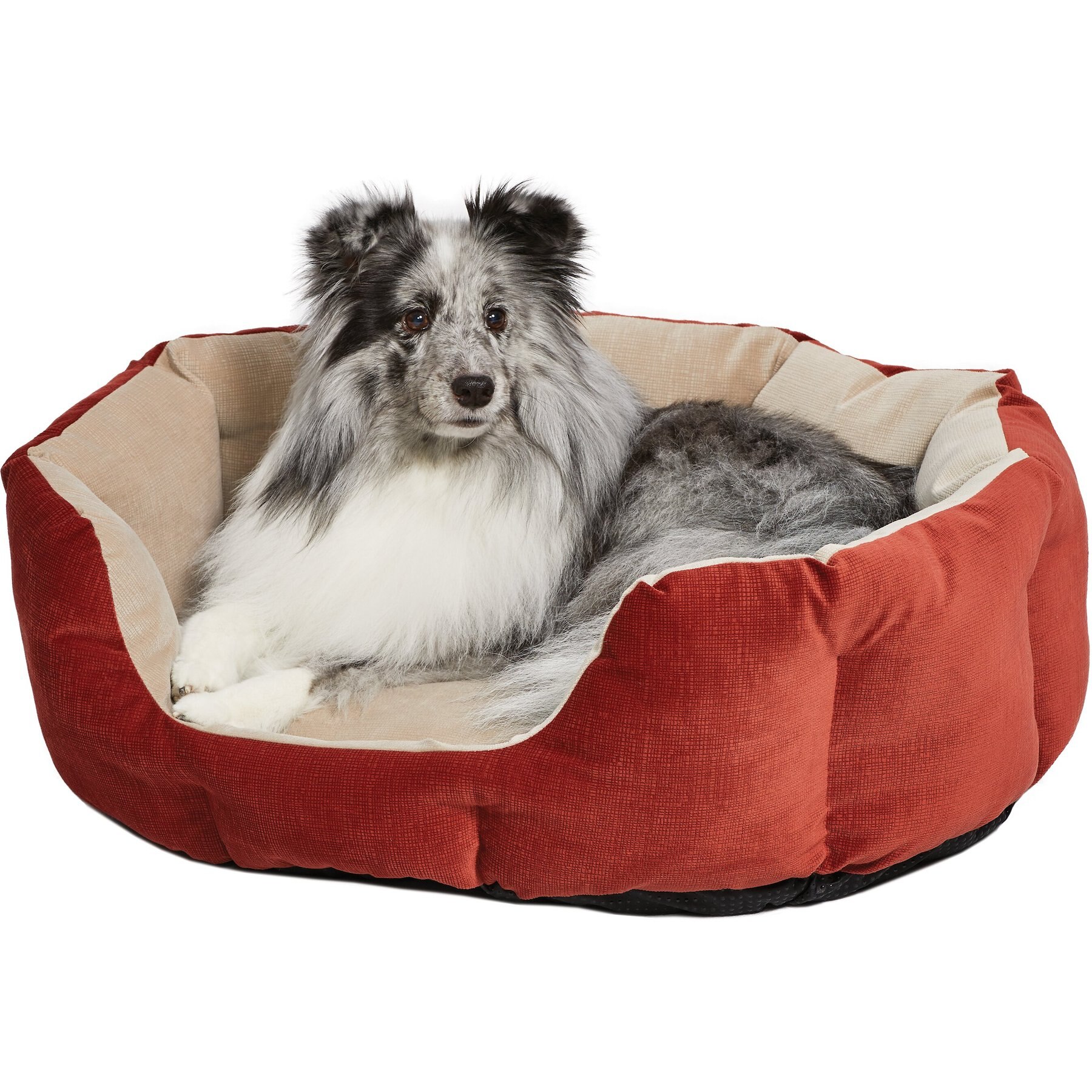 MidWest Tulip Style Dog & Cat Bed, Russet, Small