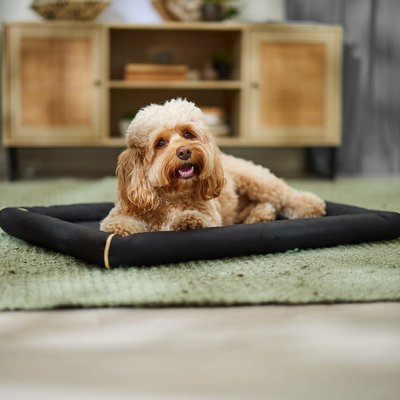 MidWest MidWest Ultra Durable Bolster Cat & Dog Bed, Black, 30-inch