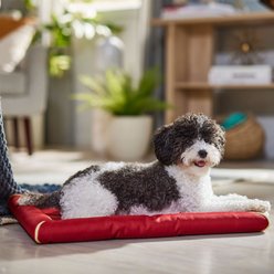 MidWest Ultra Durable Bolster Cat & Dog Bed, Brick, 24-inch