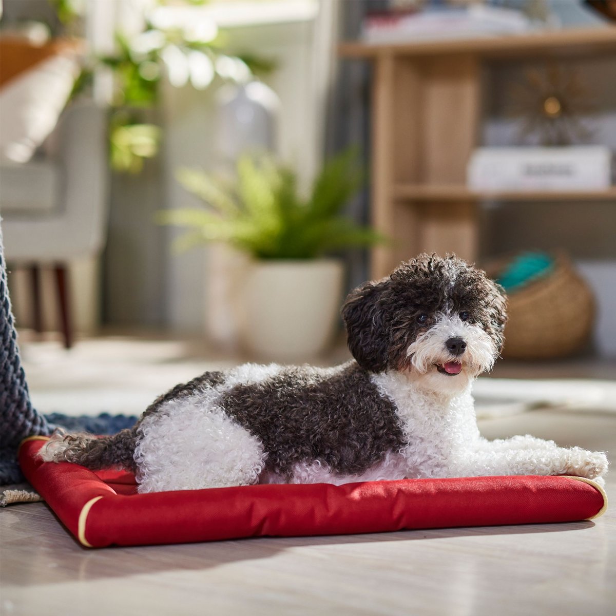 MidWest Ultra Durable Bolster Cat & Dog Bed, Brick, 24-inch