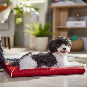 MidWest Ultra Durable Bolster Cat & Dog Bed, Brick, 24-inch
