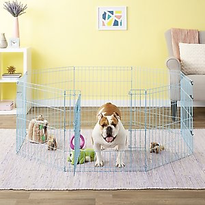 MidWest Wire Dog Exercise Pen with Full MAX Lock Door, Blue, 24-in