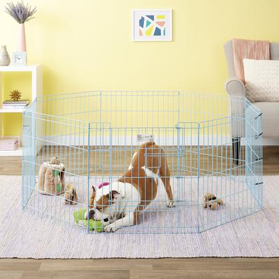 Show full view: MidWest Wire Dog Exercise Pen with Full MAX Lock Door, Blue, 24-in slide 4 of 6