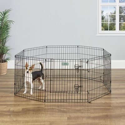 MidWest Black E-Coat Exercise Pen with Step-Thru Door, 24-in tall, Midwest