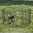 Show in main carousel: MidWest Wire Dog Exercise Pen with Step-Thru Door, Black E-Coat, 30-in slide 4 of 11