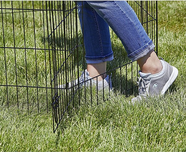 Show full view: MidWest Wire Dog Exercise Pen with Step-Thru Door, Black E-Coat, 30-in slide 7 of 11