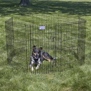 MidWest Wire Dog Exercise Pen with Step-Thru Door, Black E-Coat, 36-in