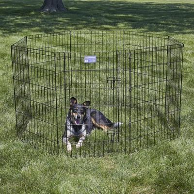 Show full view: MidWest Wire Dog Exercise Pen with Step-Thru Door, Black E-Coat, 36-in slide 5 of 12