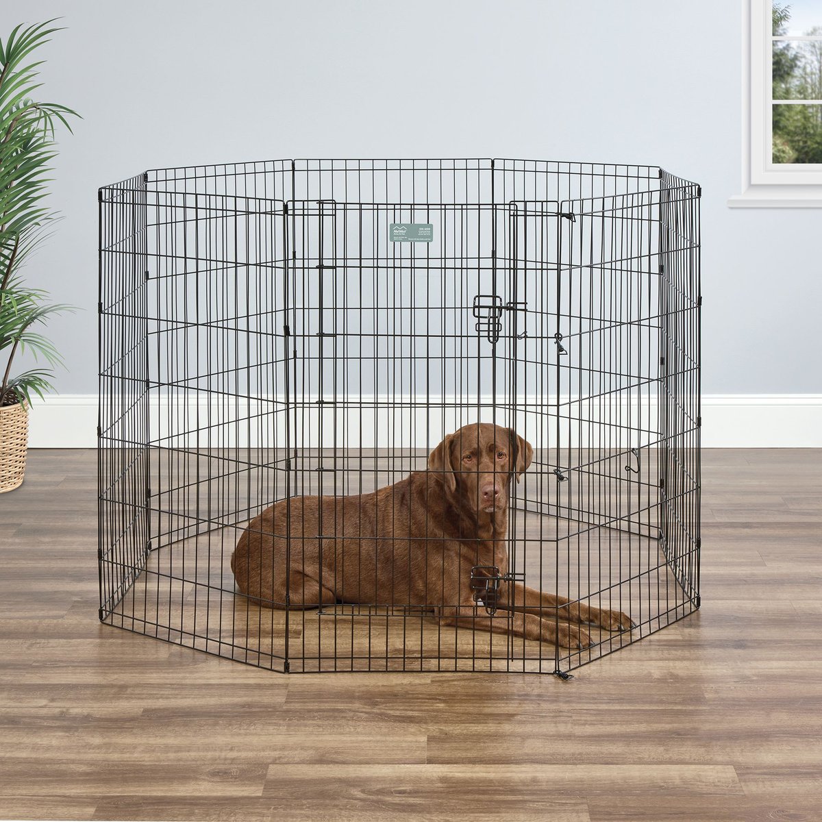 MidWest Black E-Coat Exercise Pen with Step-Thru Door, 42-in tall