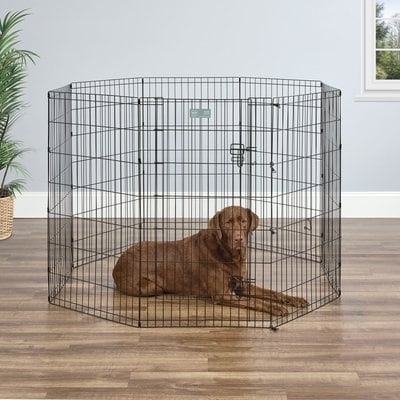MidWest MidWest Black E-Coat Exercise Pen with Step-Thru Door, 42-in tall