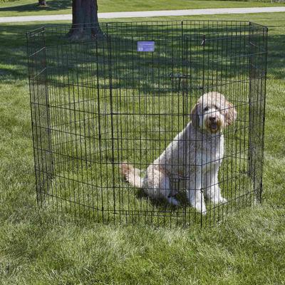 Show full view: MidWest Wire Dog Exercise Pen with Step-Thru Door, Black E-Coat, 48-in + Exercise Pen Top Sunscreen Accessory, Square Configuration, Black slide 5 of 9
