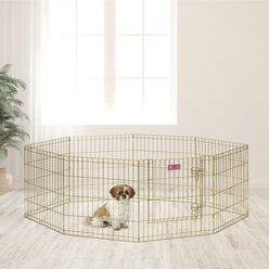 MidWest Wire Dog Exercise Pen with Step-Thru Door, Gold Zinc, 24-in
