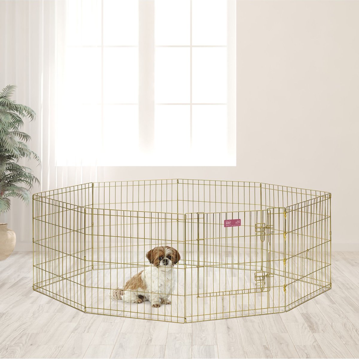 MidWest Gold Zinc Exercise Pen with Step-Thru Door, 24" tall
