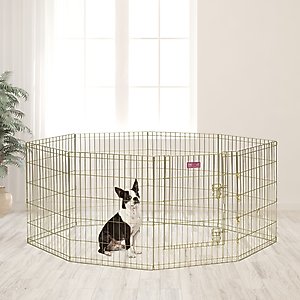 MidWest Wire Dog Exercise Pen with Step-Thru Door, Gold Zinc, 30-in