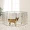 Show in main carousel: MidWest Wire Dog Exercise Pen with Step-Thru Door, Gold Zinc, 36-in slide 1 of 12