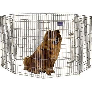 MidWest Wire Dog Exercise Pen with Step-Thru Door, Gold Zinc, 36-in