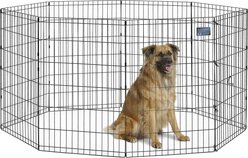 MidWest Wire Foldable Dog & Cat Exercise Pen, Black, Intermediate: 36-in