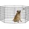 Show in main carousel: MidWest Wire Foldable Dog & Cat Exercise Pen, Black, Intermediate: 36-in slide 1 of 7