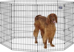 MidWest Wire Foldable Dog & Cat Exercise Pen, Black, Large: 42-in