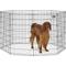 Show in main carousel: MidWest Wire Foldable Dog & Cat Exercise Pen, Black, Large: 42-in slide 1 of 6