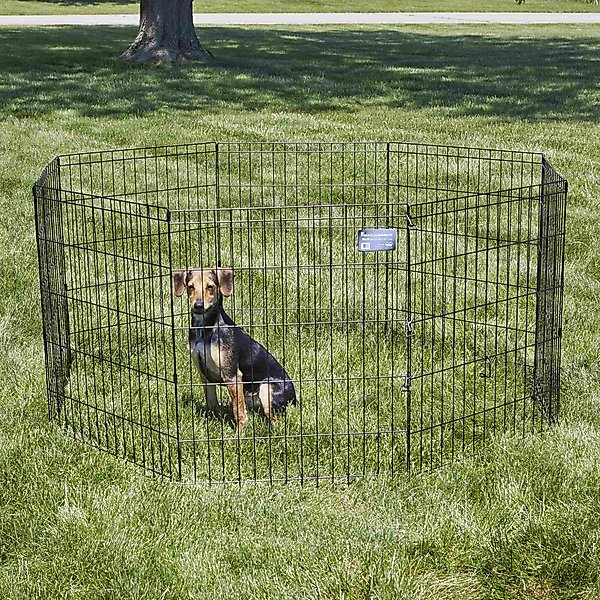 Show full view: MidWest Wire Foldable Dog & Cat Exercise Pen, Black, Medium: 30-in slide 3 of 6
