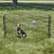 Show in main carousel: MidWest Wire Foldable Dog & Cat Exercise Pen, Black, Medium: 30-in slide 3 of 6