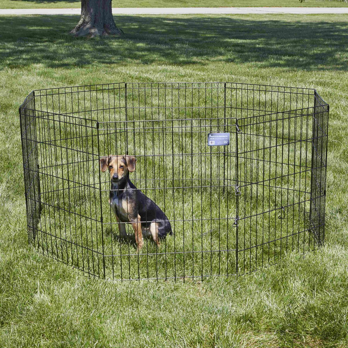 MidWest Wire Foldable Dog & Cat Exercise Pen, Black, Medium: 30-in