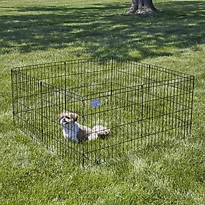 MidWest Wire Foldable Dog & Cat Exercise Pen, Black, Small: 24-in