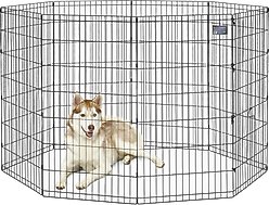 MidWest Wire Foldable Dog & Cat Exercise Pen, Black, X-Large: 48-in slide 1 of 5