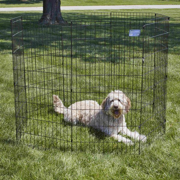 Show full view: MidWest Wire Foldable Dog & Cat Exercise Pen, Black, X-Large: 48-in slide 3 of 6