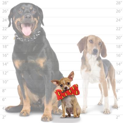 Show full view: Mighty Bone Squeaky Plush Dog Toy, Red slide 7 of 9