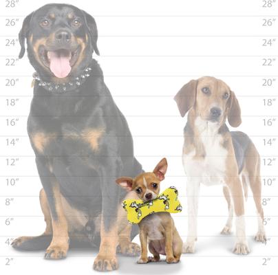 Show full view: Mighty Bone Squeaky Plush Dog Toy, Yellow slide 6 of 8