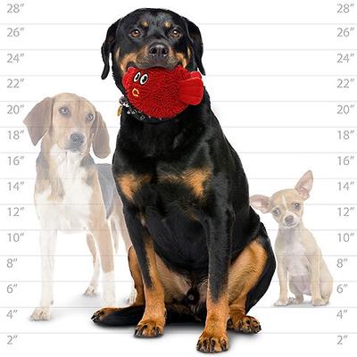 Show full view: Mighty MicroFiber Balls Blowfish Plush Dog Toy, Medium slide 6 of 8