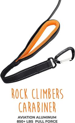 Show full view: Mighty Paw 2.0 Neoprene Dual Handle HandleX2 Dog Leash, 72-in, Black slide 2 of 9