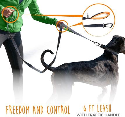 Show full view: Mighty Paw 2.0 Neoprene Dual Handle HandleX2 Dog Leash, 72-in, Black slide 5 of 9