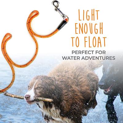 Show full view: Mighty Paw Check Cord Dog Leash, 30-ft slide 4 of 10