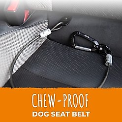 Mighty Paw Chew Proof Dog Car Safety Belt, 32-in slide 2 of 9