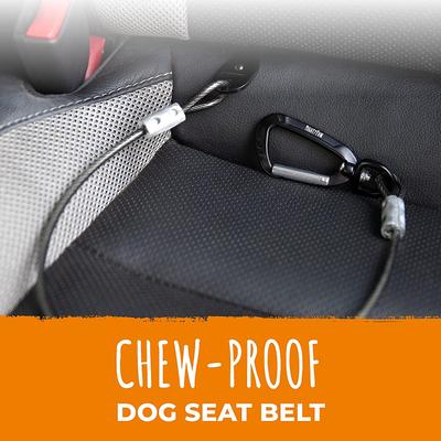 Show full view: Mighty Paw Chew Proof Dog Car Safety Belt, 32-in slide 3 of 11