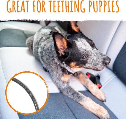 Show full view: Mighty Paw Chew Proof Dog Car Safety Belt, 32-in slide 4 of 11