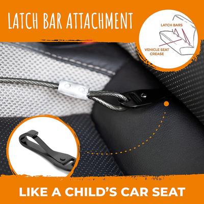 Show full view: Mighty Paw Chew Proof Dog Car Safety Belt, 32-in slide 5 of 11