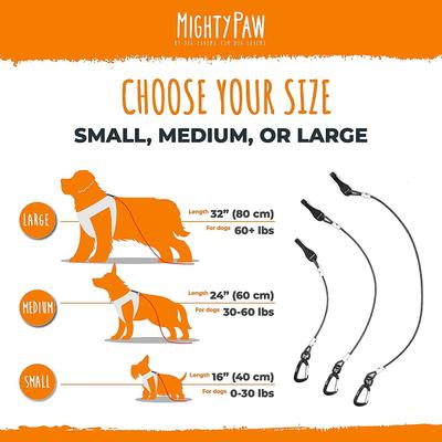 Show full view: Mighty Paw Chew Proof Dog Car Safety Belt, 32-in slide 10 of 11