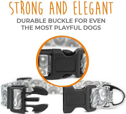 Show full view: Mighty Paw Designer Paisley Dog Collar, Large slide 8 of 10