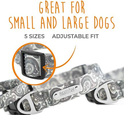 Show full view: Mighty Paw Designer Paisley Dog Collar, Small slide 4 of 10